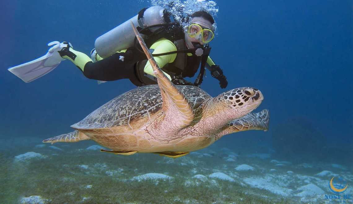 Nosy Sakatia, perle de Nosy Be Madagascar au charme intact